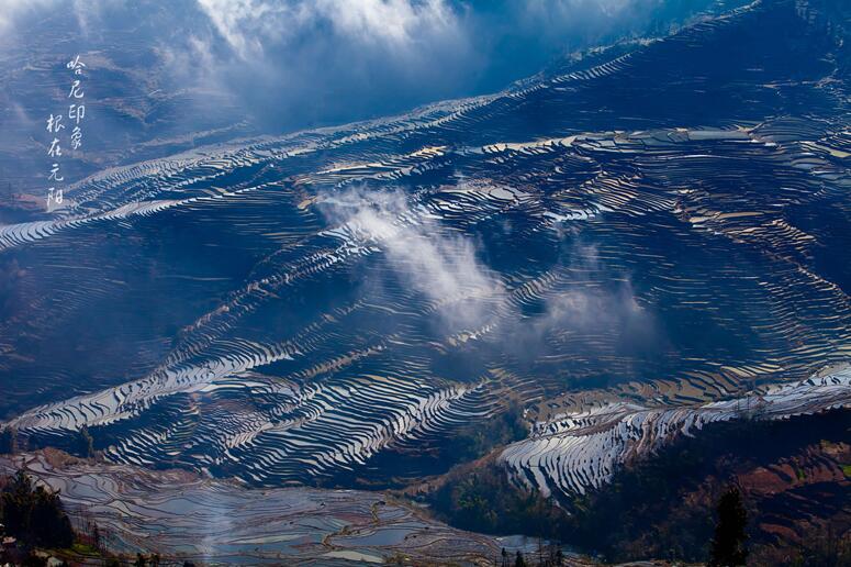 黄草岭梯田