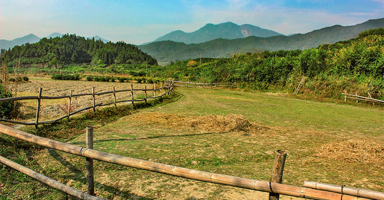 云南旅游元阳梯田-建...