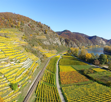 云南旅游元阳梯田-建...