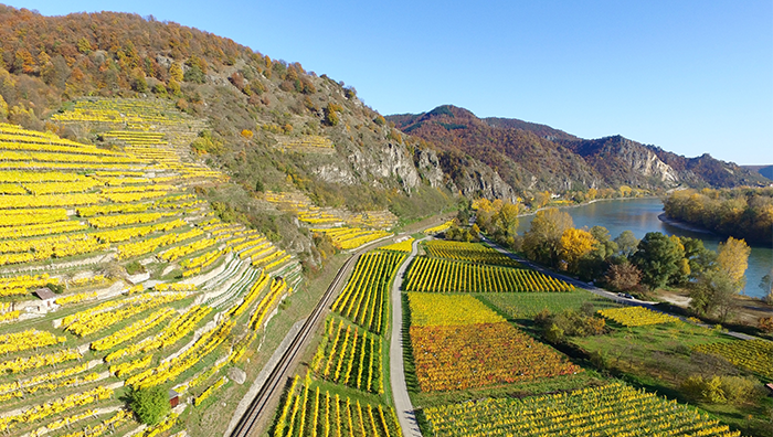 云南旅游元阳梯田-建...